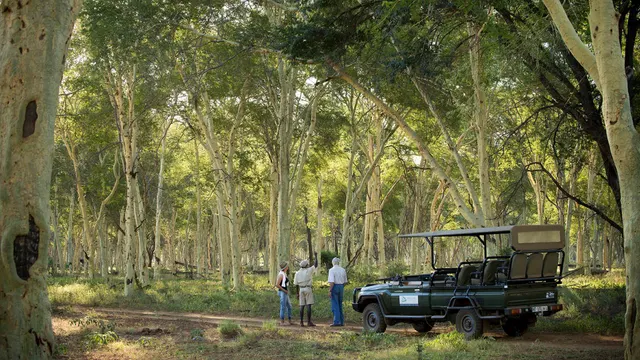 Pafuri Camp — image 19