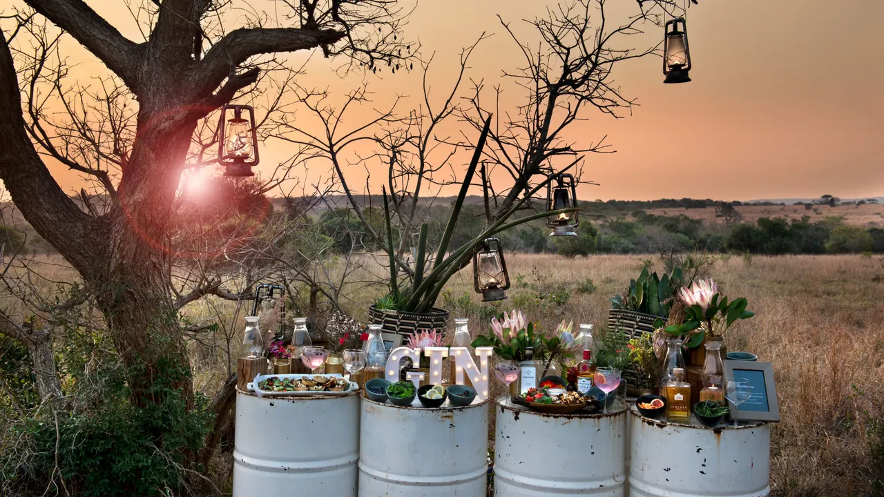 Phinda Forest Lodge — image 18