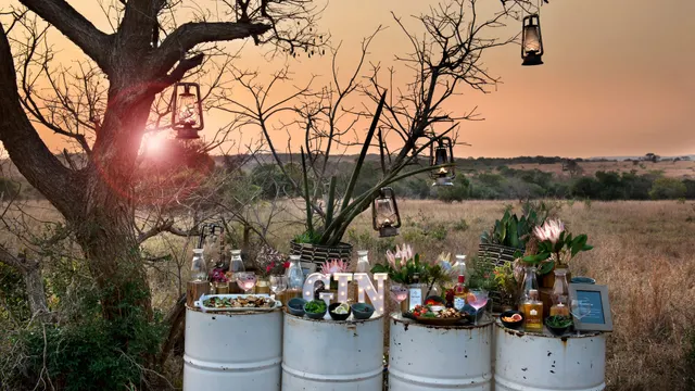 Phinda Forest Lodge — image 18