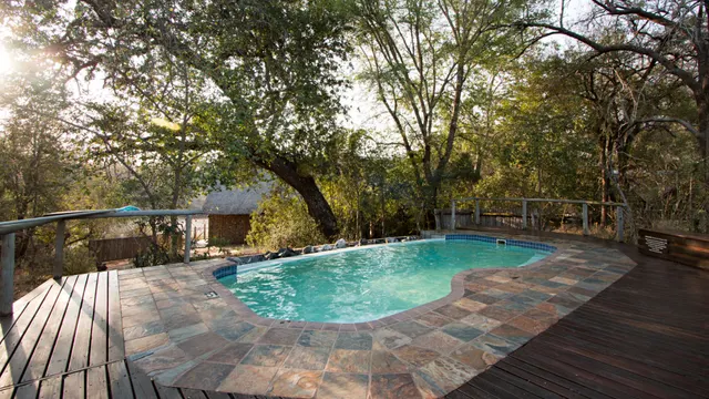 Rhino Post Safari Lodge — image 15