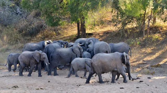 Rhino Post Safari Lodge — image 17
