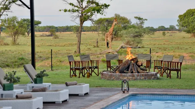 Safari Plains — image 8