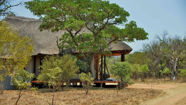 Safari Plains — image 25