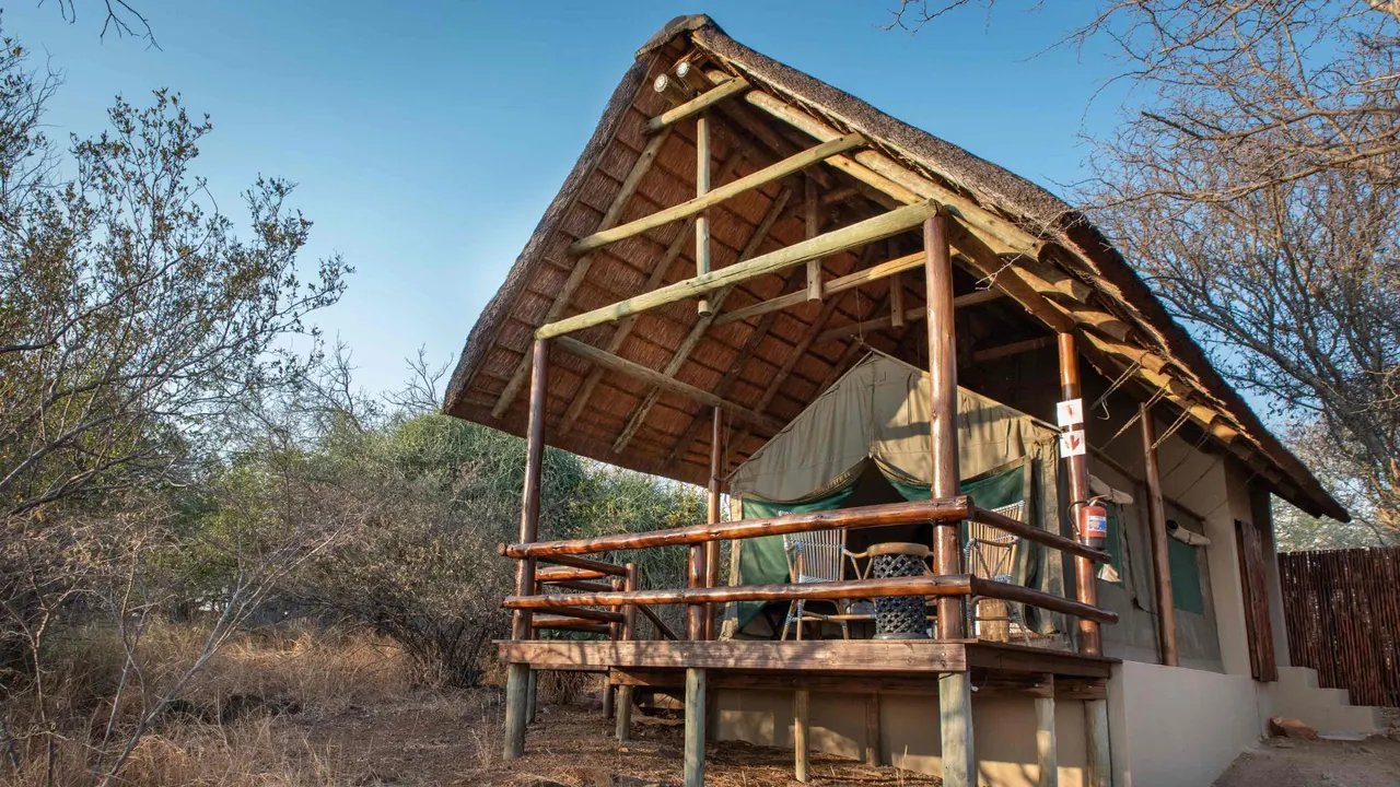 Sausage Tree Safari Camp — image 14