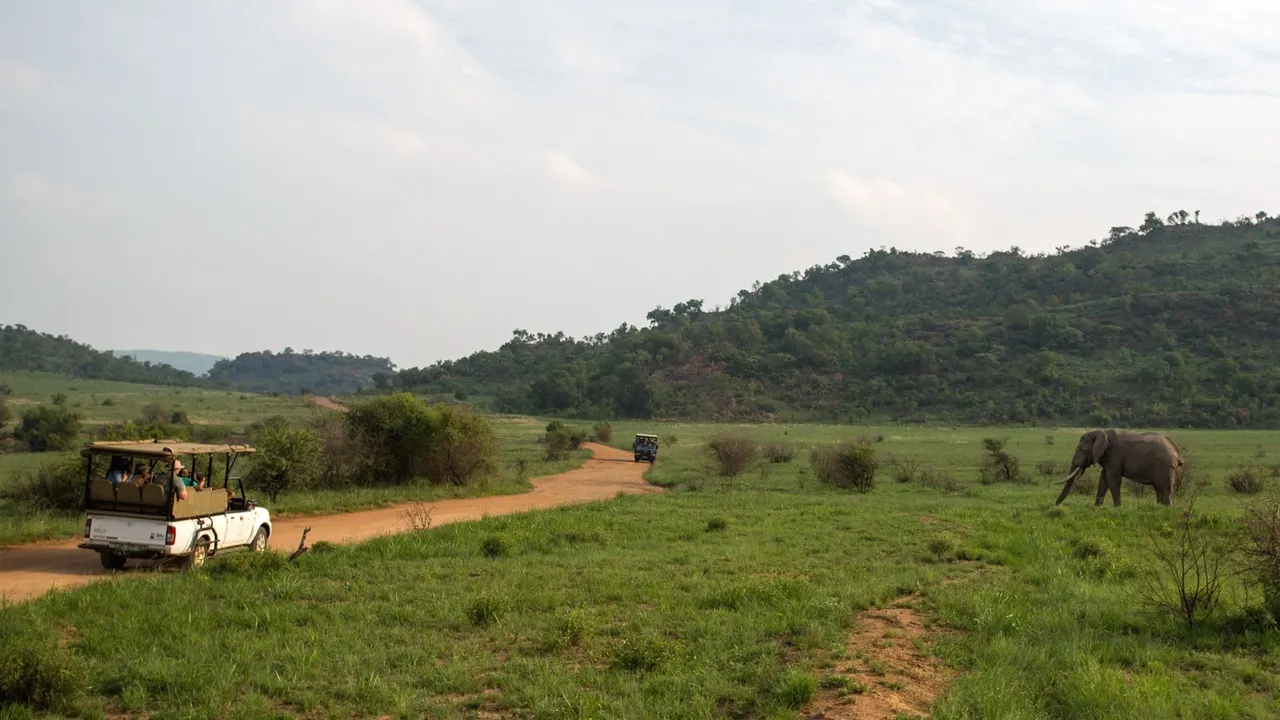 Shepherd's Tree Game Lodge — image 17
