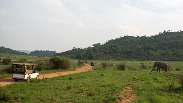 Shepherd's Tree Game Lodge — image 17
