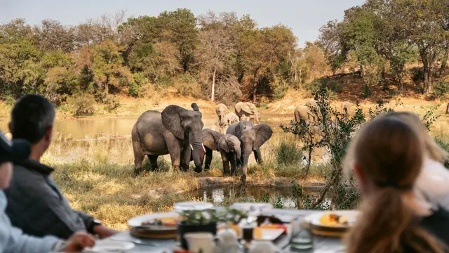 Simbavati River Lodge — image 11