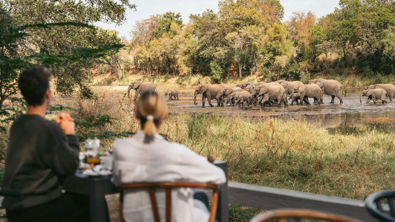 Simbavati River Lodge — image 26