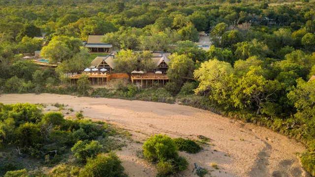Thornybush Game Lodge — image 14