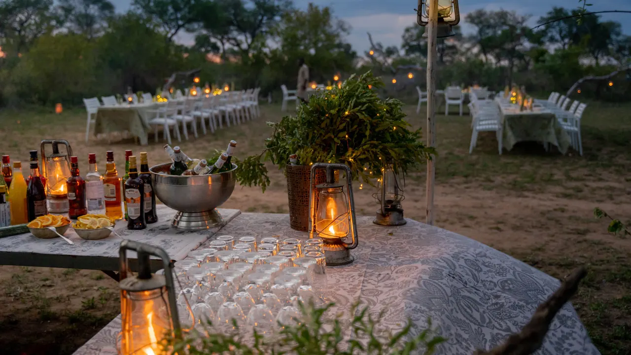 Thornybush Game Lodge — image 15
