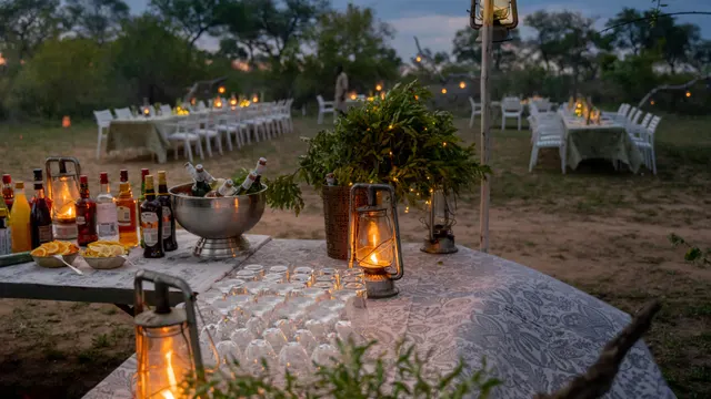 Thornybush Game Lodge — image 15