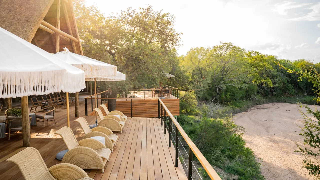 Thornybush Game Lodge — image 8