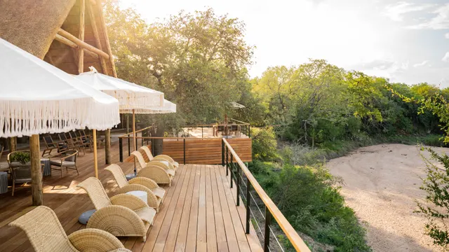 Thornybush Game Lodge — image 8