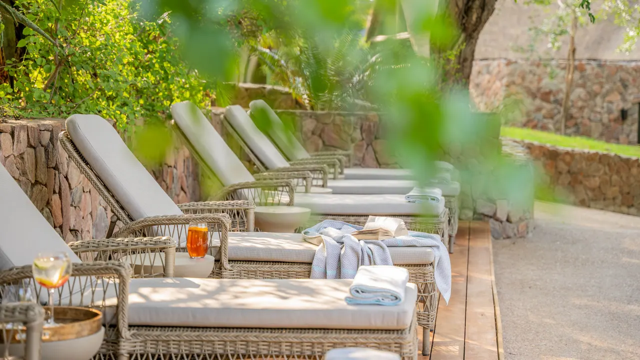 Thornybush Game Lodge — image 17