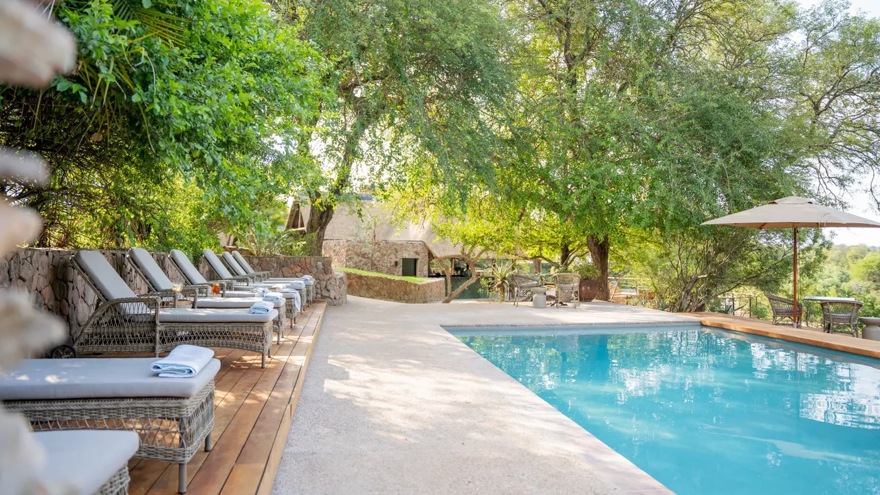 Thornybush Game Lodge — image 20