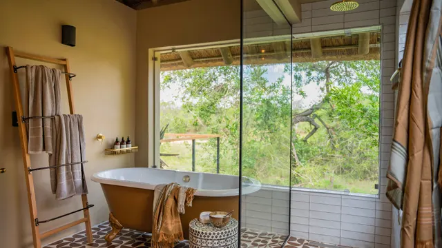 Thornybush Game Lodge — image 12
