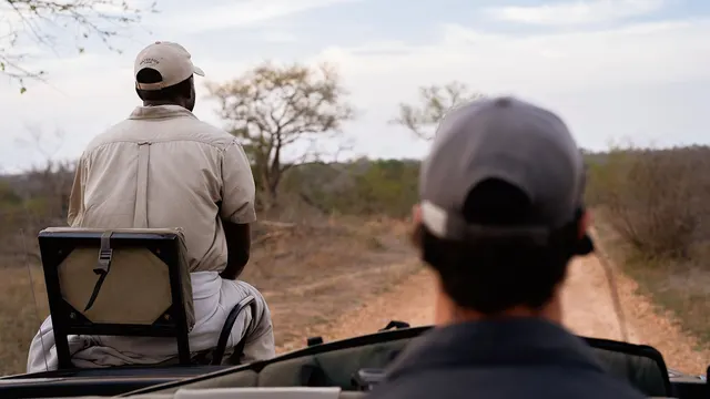 Thornybush Game Lodge — image 27
