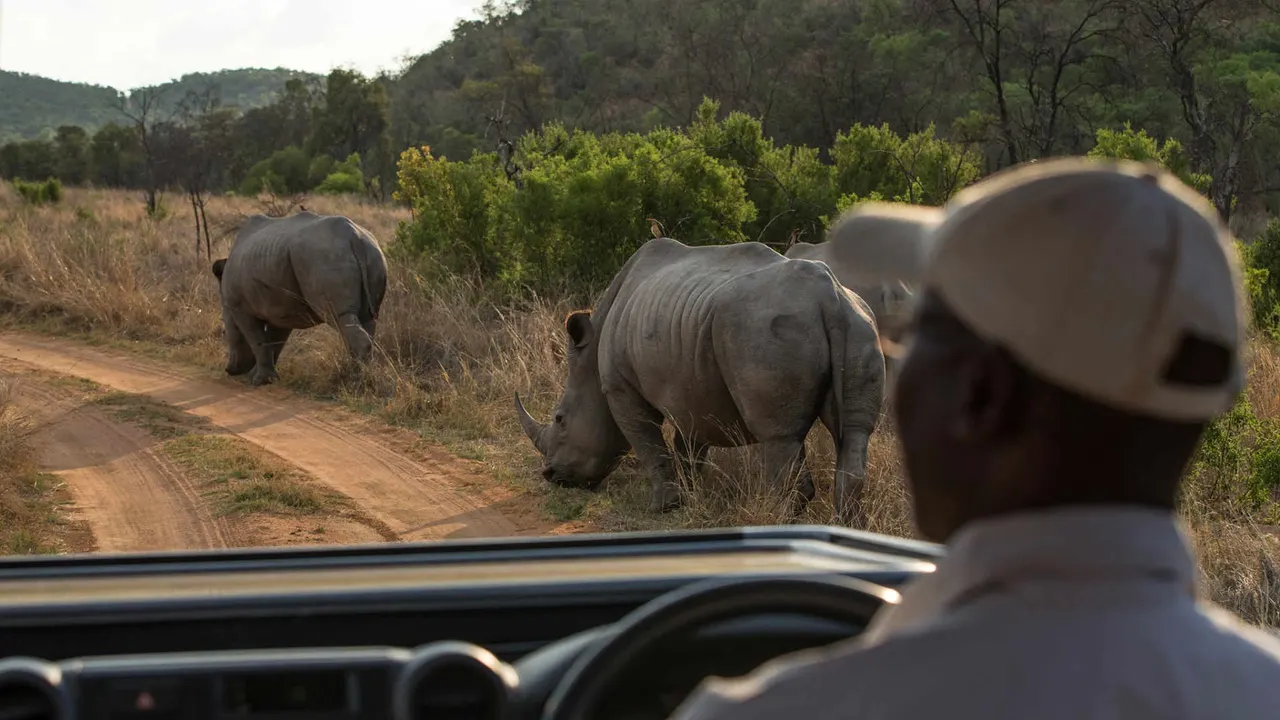 Tshwene Lodge — image 27