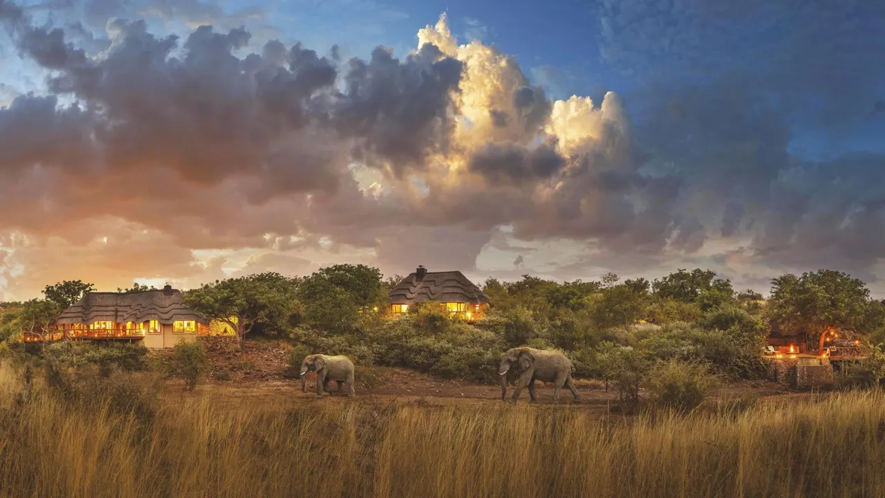 Tuningi Safari Lodge — image 7