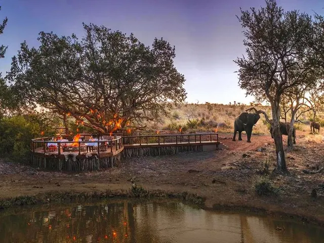 Tuningi Safari Lodge