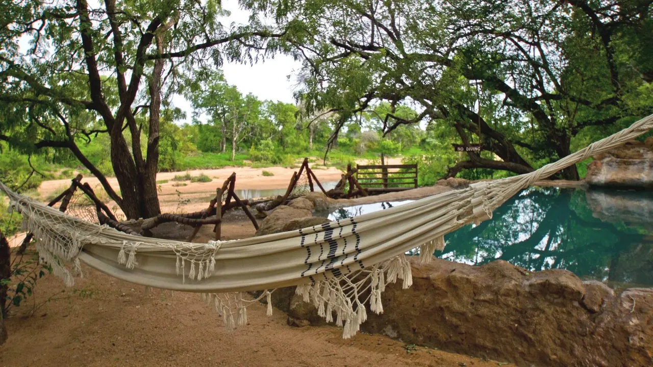 Umlani Bushcamp — image 12