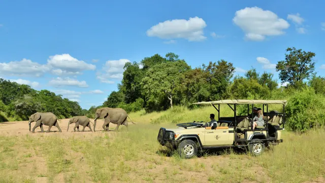Imbali Safari Lodge — image 3