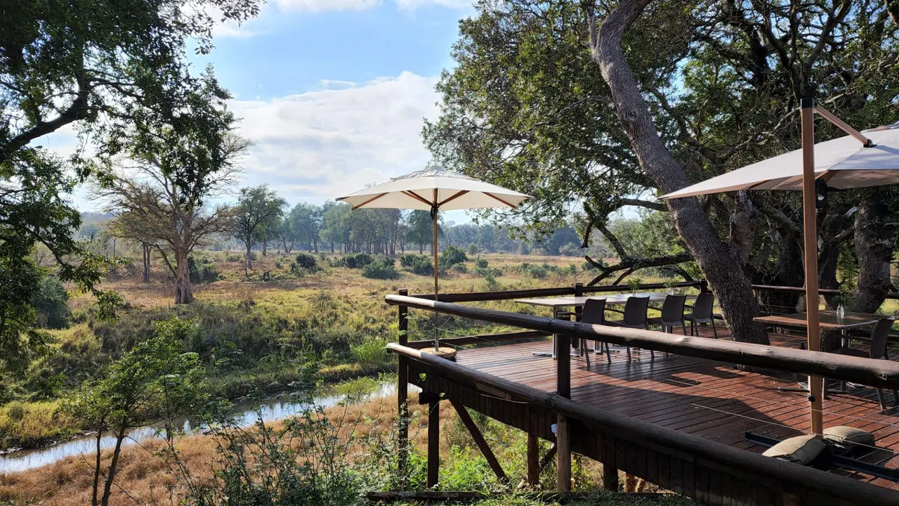 Becks Safari Lodge — image 11