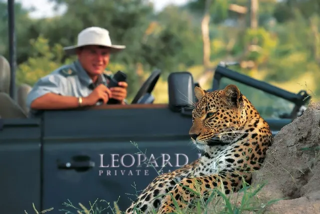 A leopard resting on a termite mound a few metres from an open game viewer while a guest photographs it from the vehicle