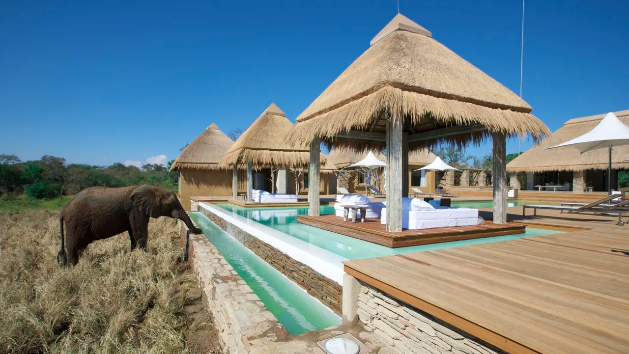 Kapama River Lodge — image 11
