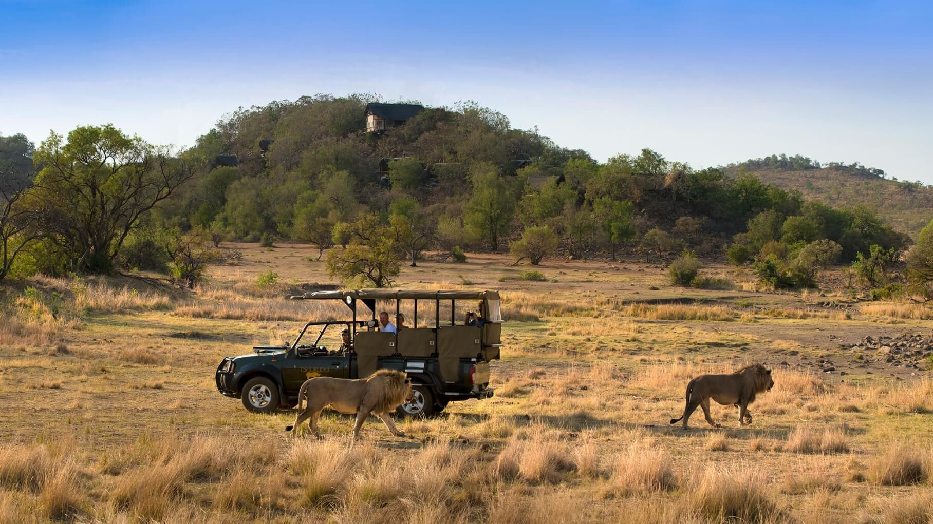 Tshukudu Lodge — image 3