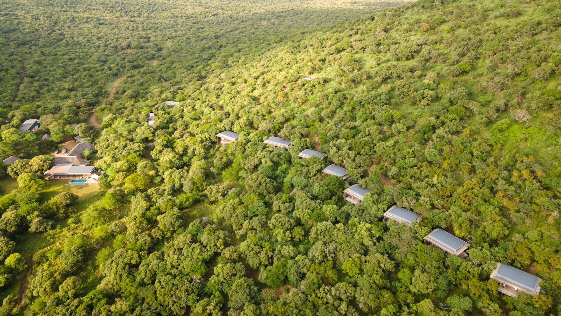 Sungulwane — image 4