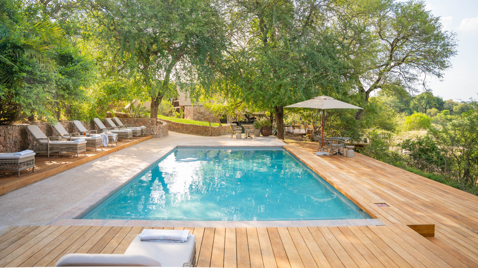 Thornybush Game Lodge — image 3