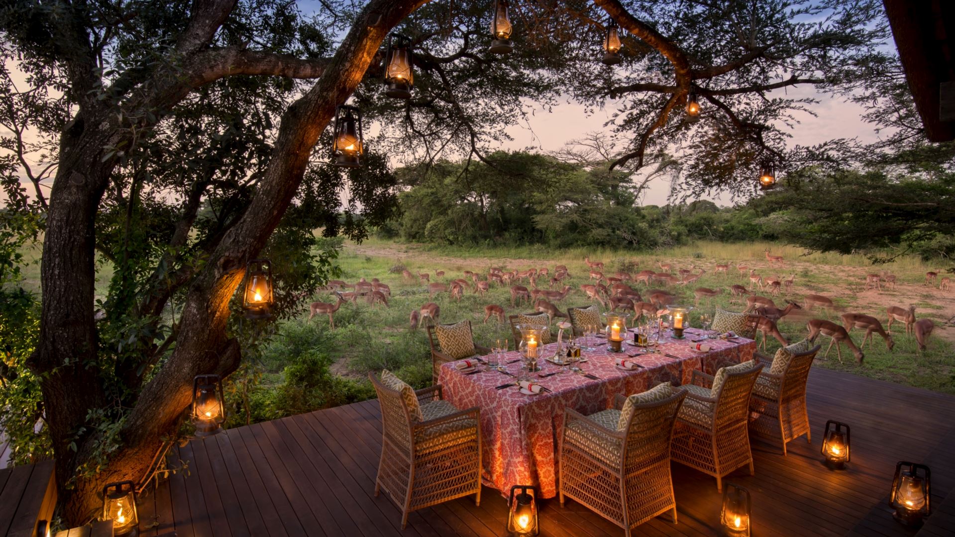 Phinda Vlei Lodge — image 3
