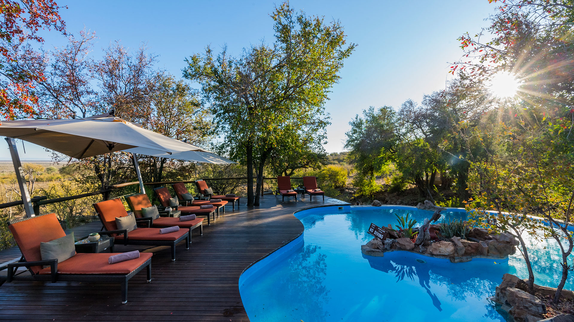 Impodimo Game Lodge — image 3