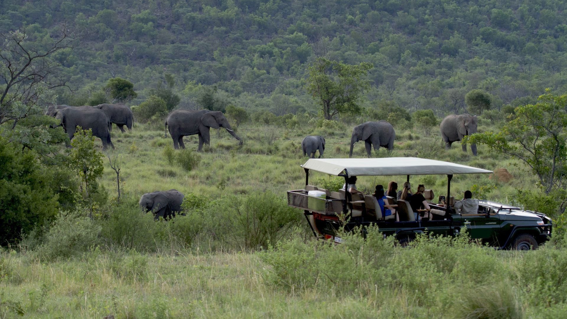 Inzalo Safari Lodge — image 3