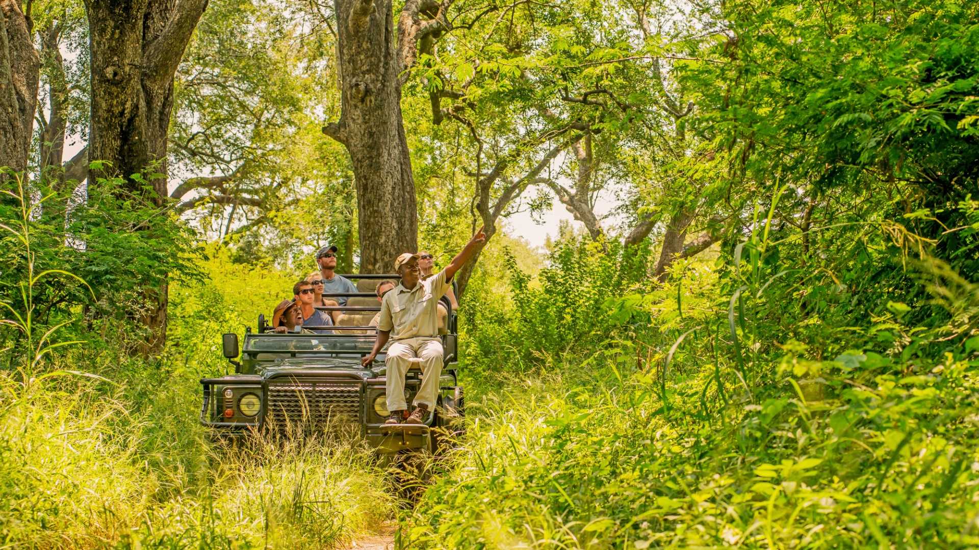 Karongwe River Lodge — image 4