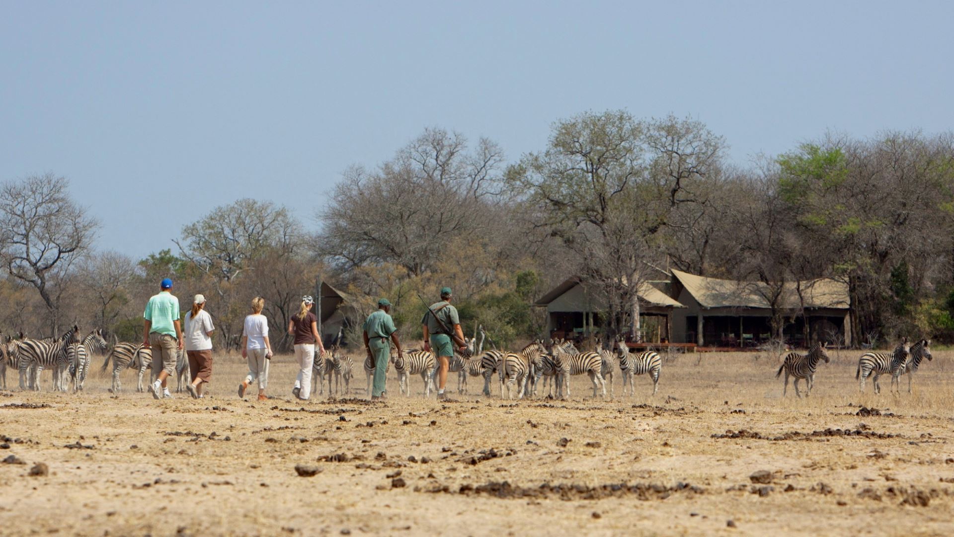 Rhino Walking Safaris — image 2