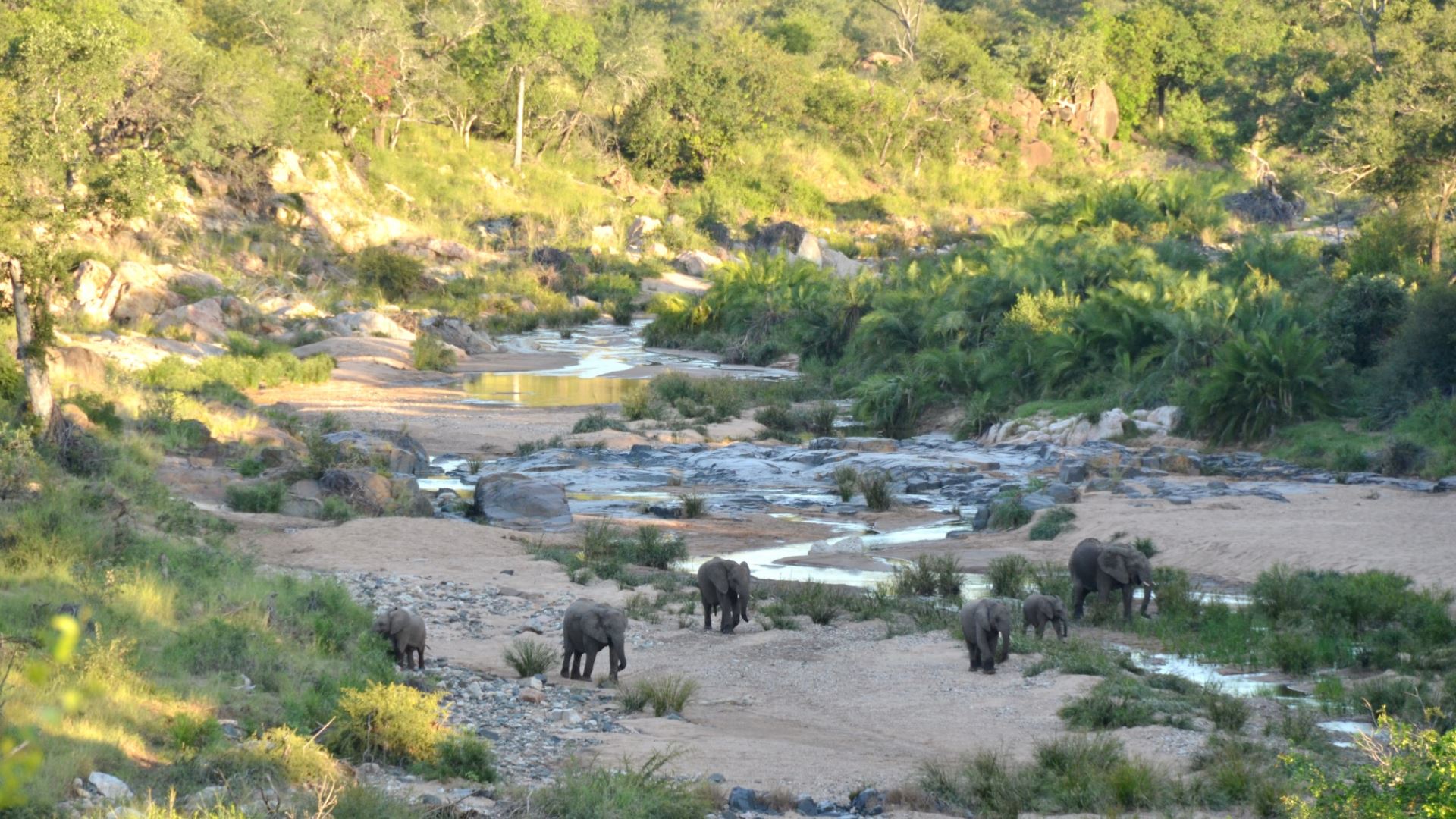 Greenfire Game Lodge — image 2