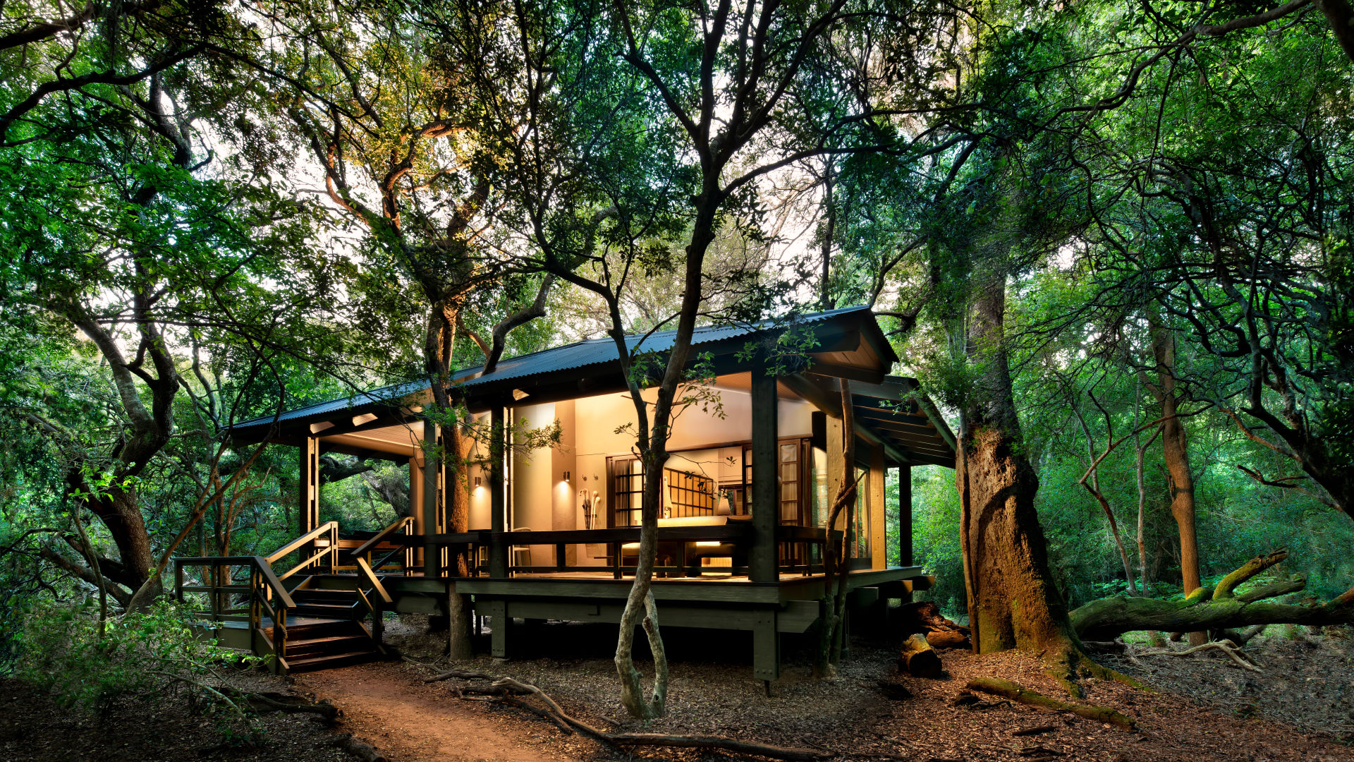 Phinda Forest Lodge