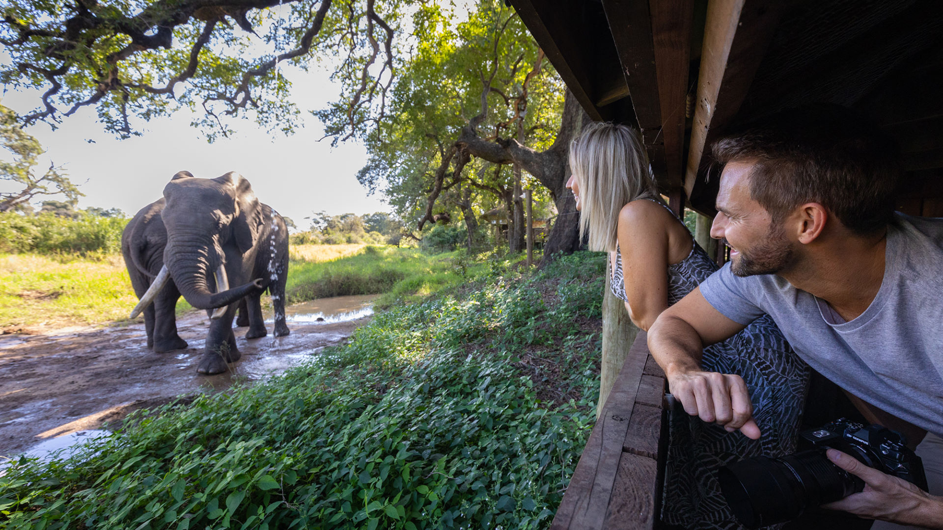 Tintswalo Safari — image 3