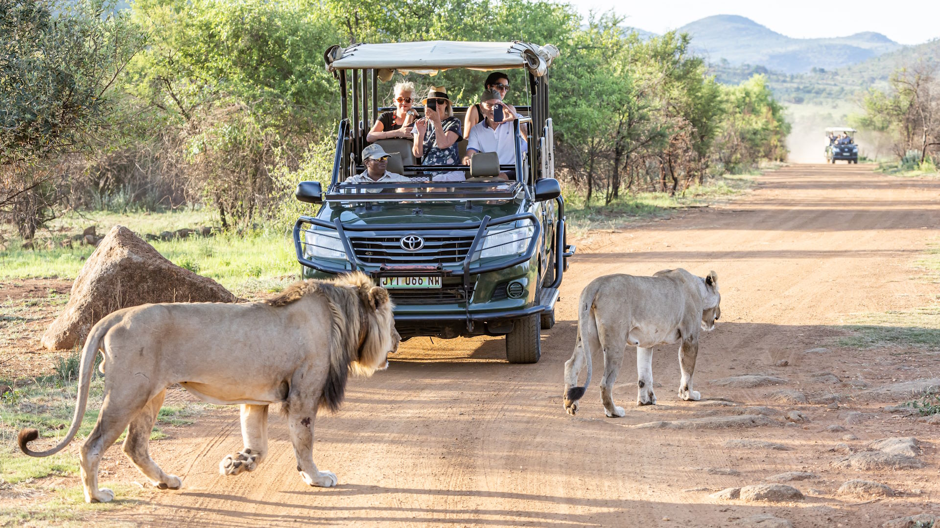 Ivory Tree Game Lodge — image 3