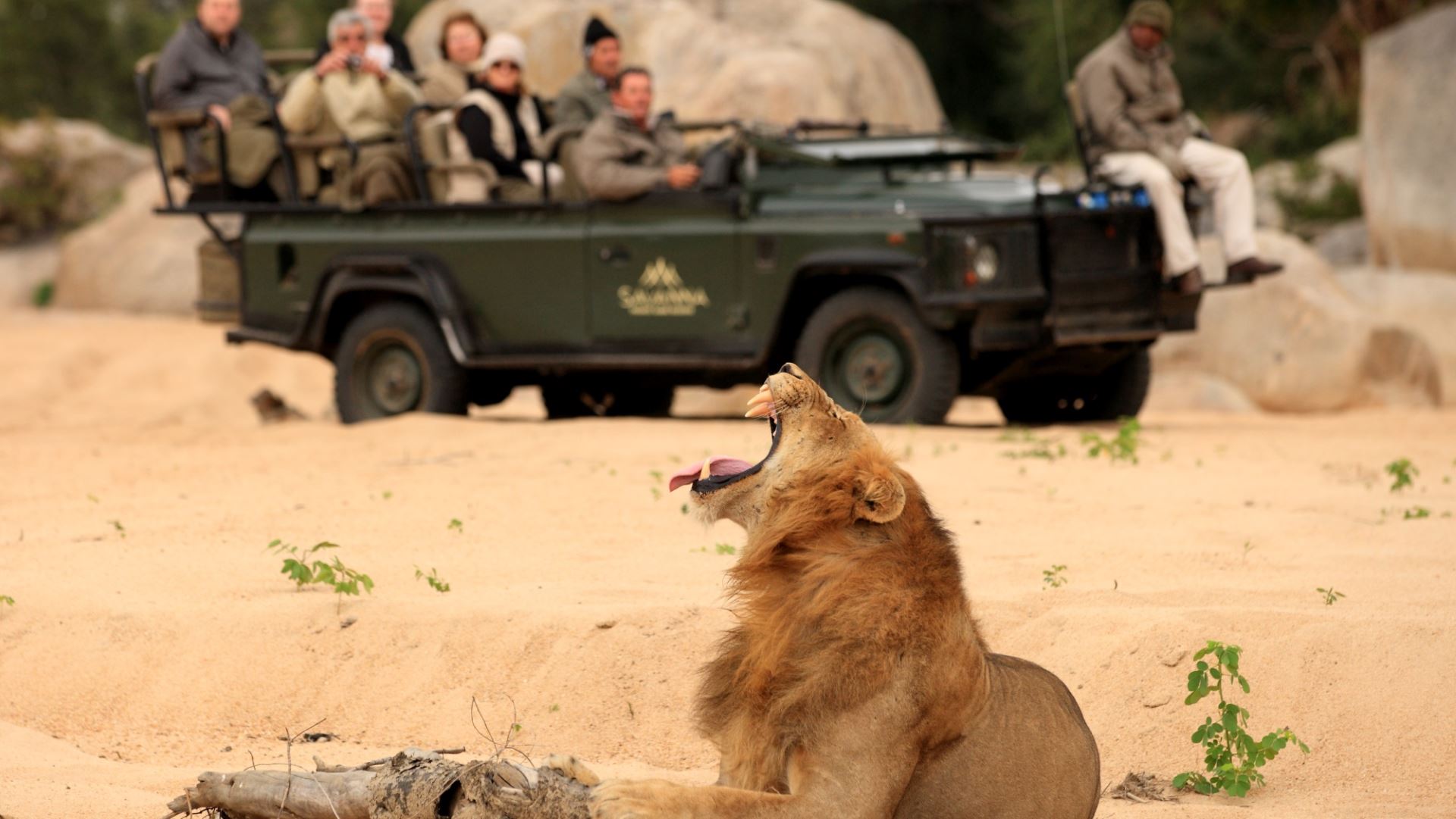 Savanna Lodge — image 2
