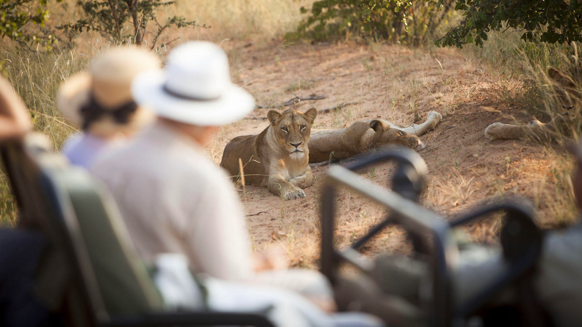 Kapama Southern Camp — image 3