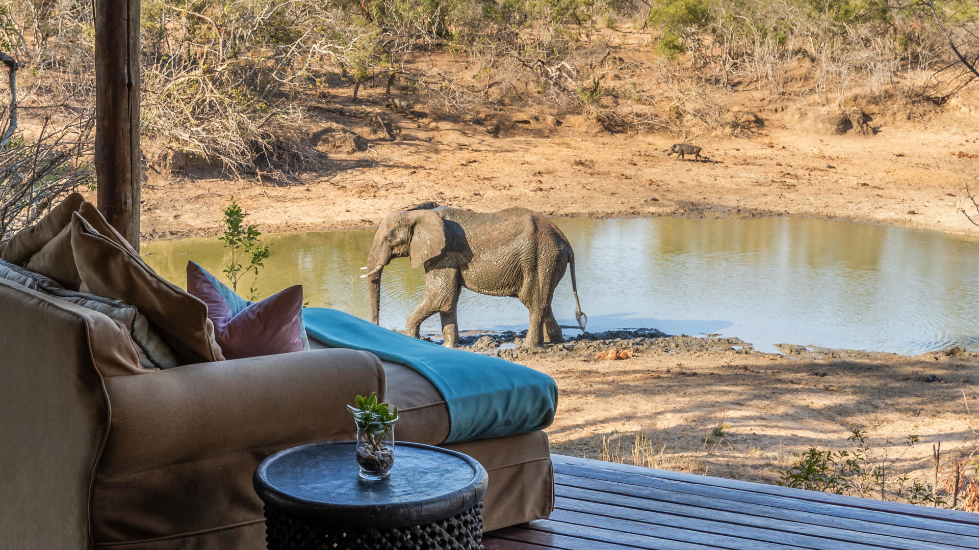 Waterbuck Lodge — image 1